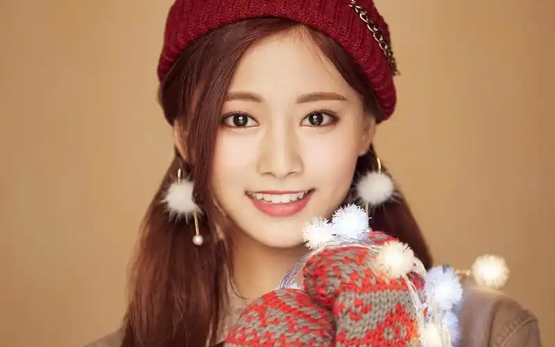 电脑壁纸 明星 日韩明星 twice韩国女子歌手圣诞节写真