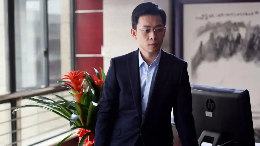 鸡毛飞上天张译壁纸