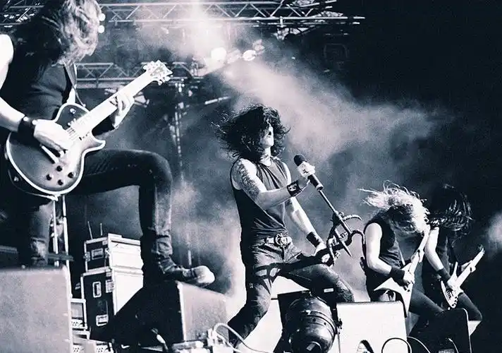 爱百香果的毛竹