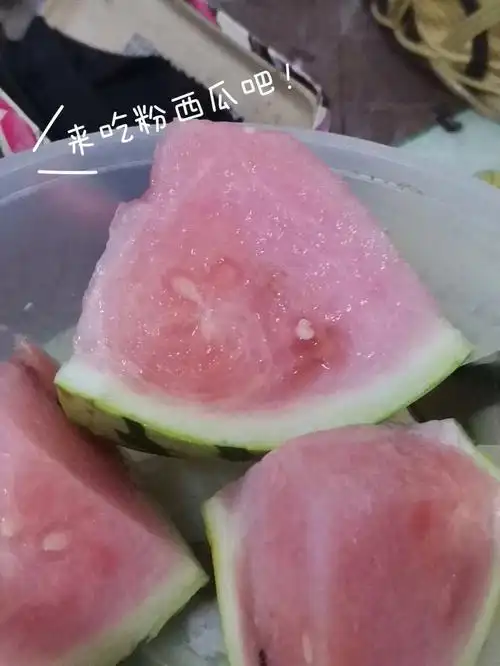 切开后是粉色的,这也太可爱了吧(●70●)#西瓜  #粉色系