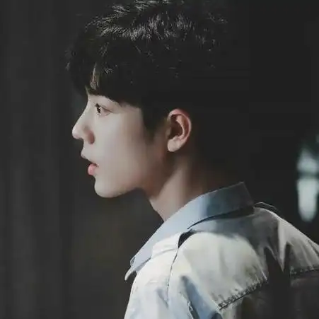 肖战蹲在海边的头像(肖战绝美头像半边脸)