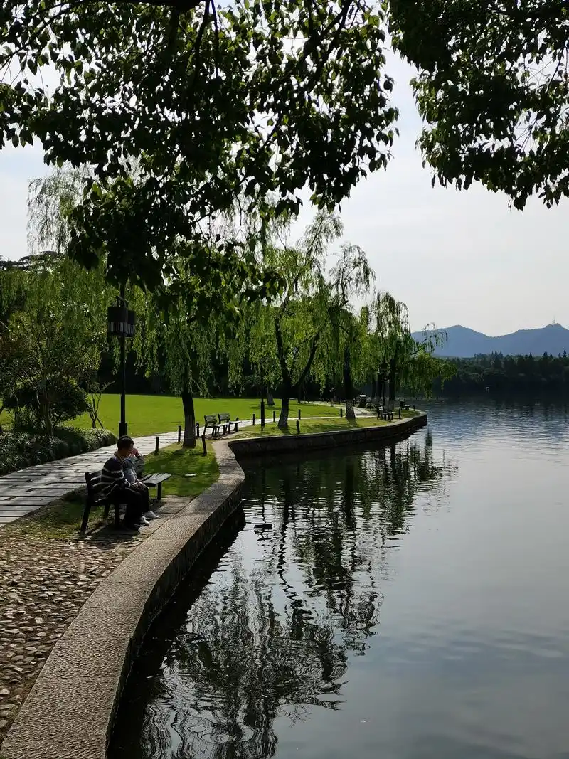 杭州西湖景区之花港观鱼 花港观鱼是由花,港,鱼为特色的风景点 - 抖音