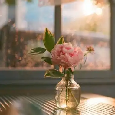 2021最新唯美小清新风景头像大全 原谅我人不好嘴不甜还没钱