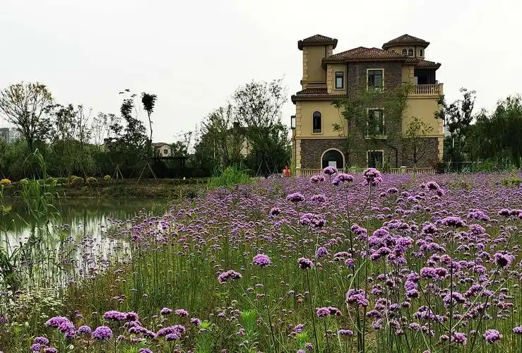 初夏的庄园(陈 亮文/摄)