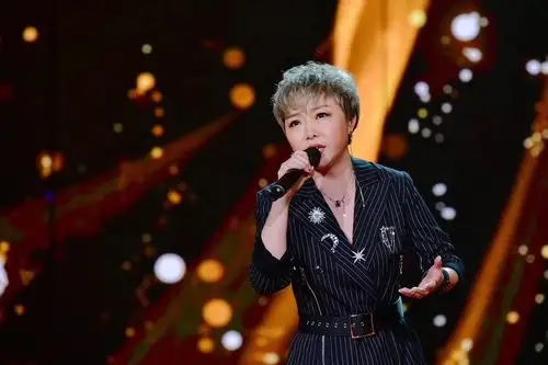 在《中国好声音》第一季的舞台上,有一位东北姑娘谢丹吸引了大家的