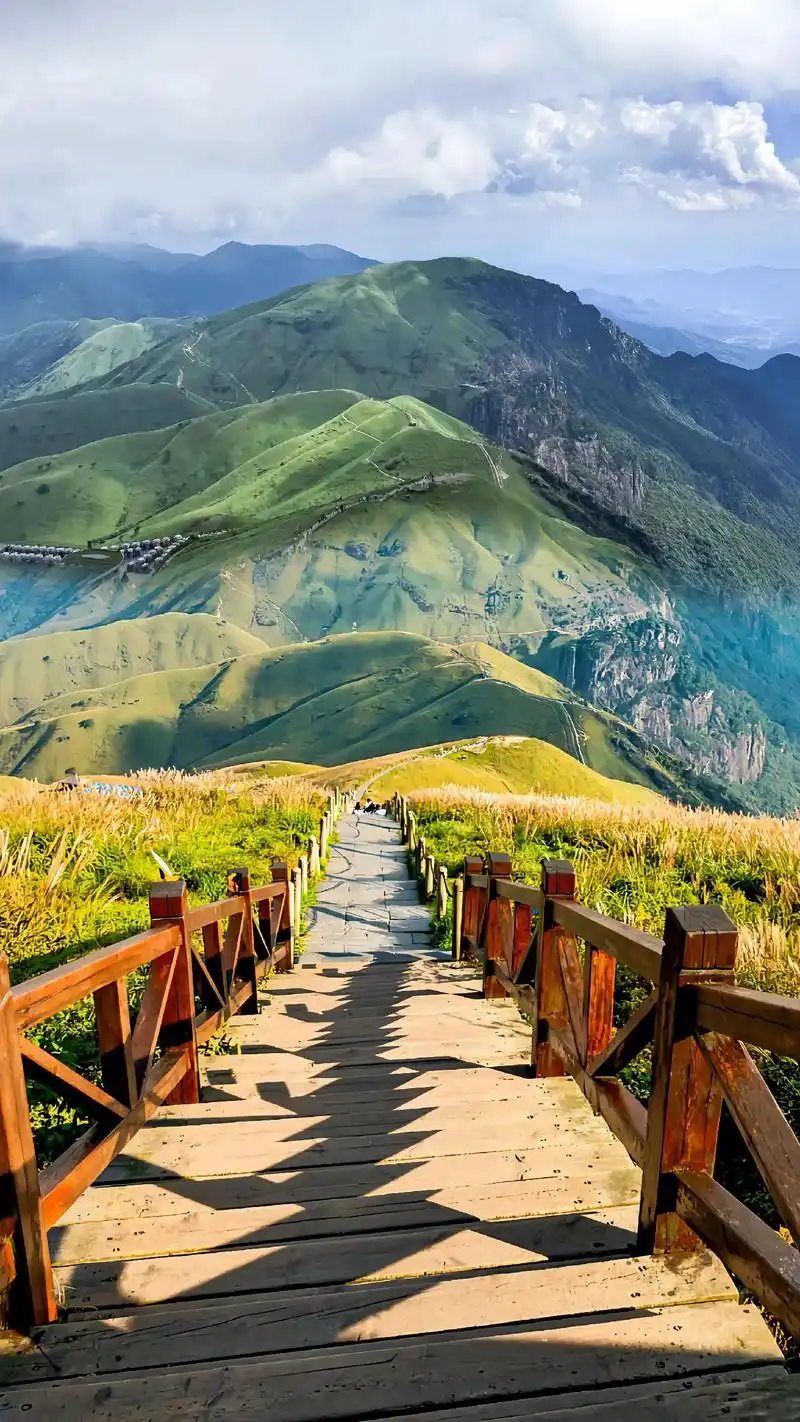 江西武功山 丨 不要犹豫,想和谁一起去就@谁. 武功山一定要夏天去