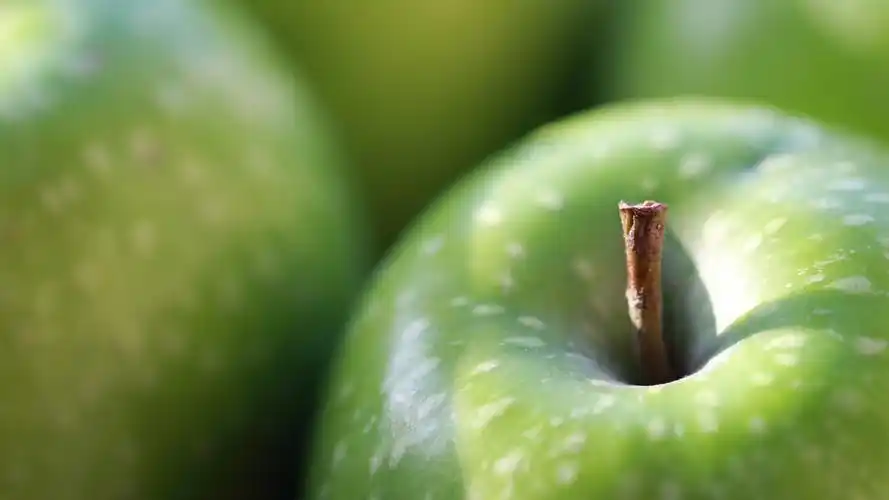 壁纸 绿苹果微距摄影