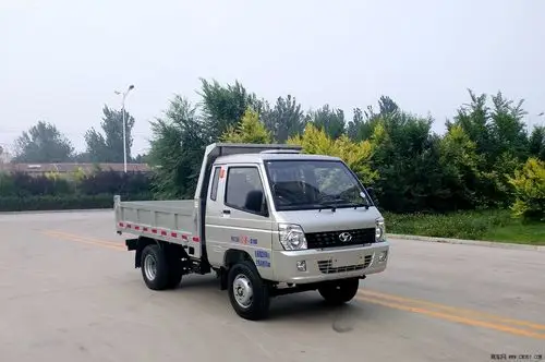 山东时风 风菱 微卡 87马力 4×2 自卸车 ssf3030dcjb1