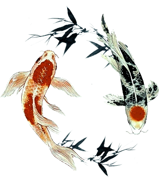 两条水墨画的鲤鱼