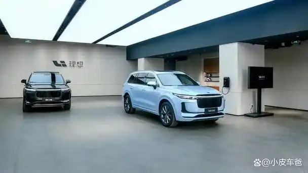 理想汽车属于什么品牌是中国的吗,理想汽车是哪个厂家生产的?-有驾