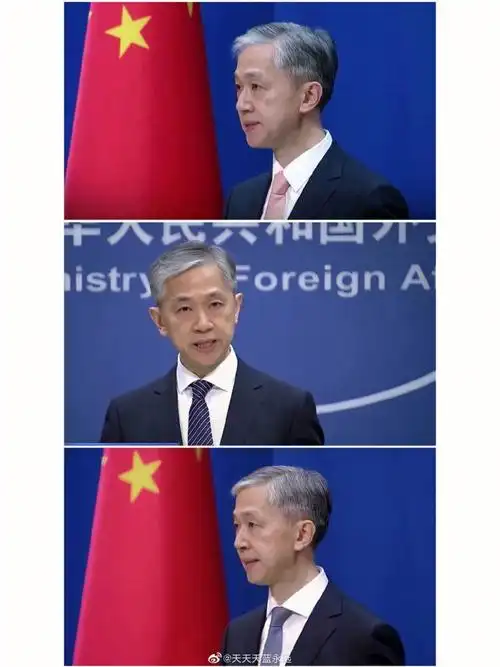 外交天团  #汪文斌  #汪司  #男神  #外交天团汪文斌  #人间理想