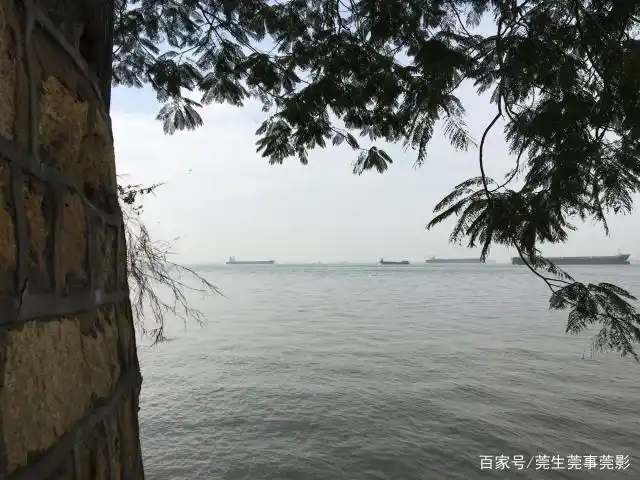 有个可以静坐享受一天的看海点,东莞虎门沙角观海
