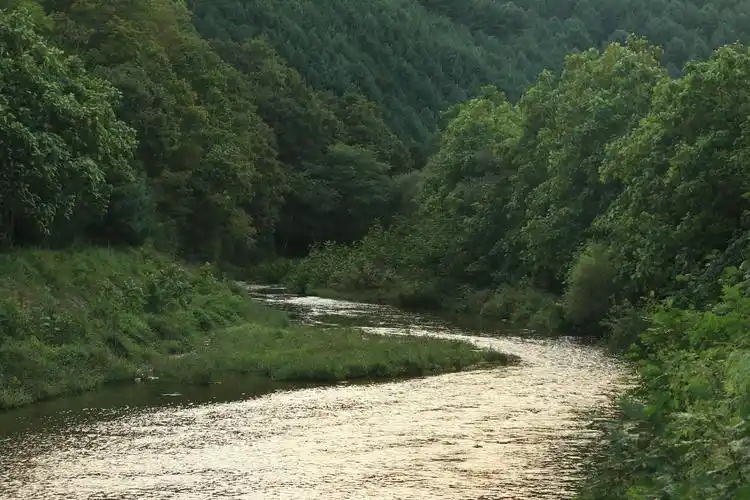 从青山的怀抱中流淌出的一条小河!