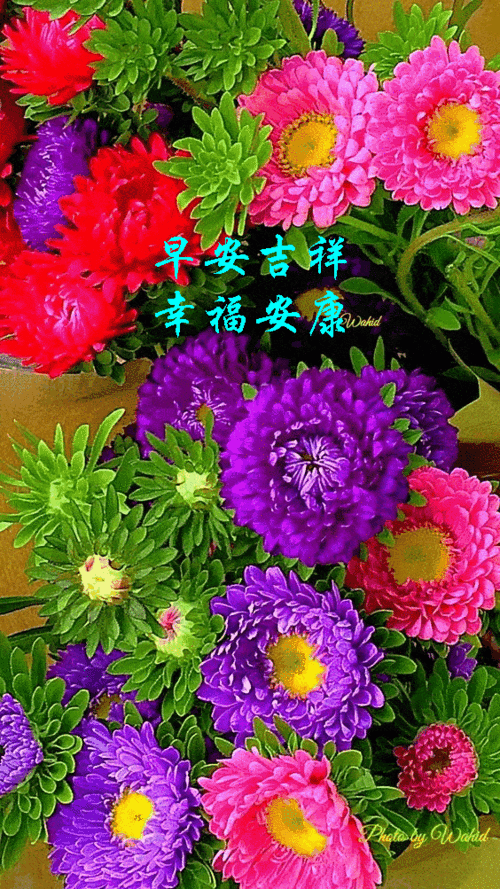 202061116115星期天早安30心语