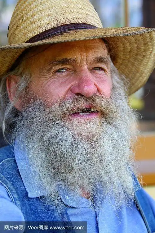 络腮胡子,乡巴佬,白色,密苏里,人