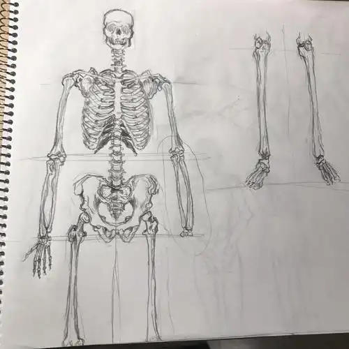 画骨头画的像骨质增生.