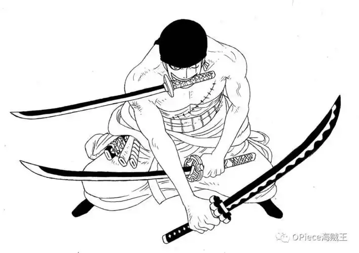 图酱海贼王黑白无双史上最酷插图