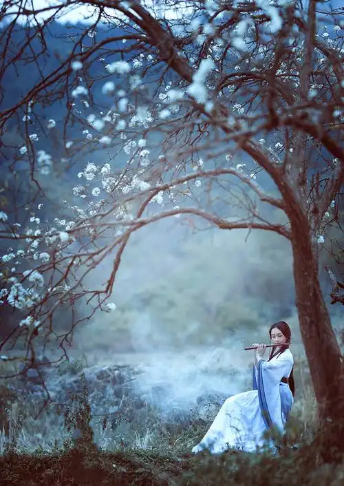 《亲爱的 我等你回来》梨花古典美女素材