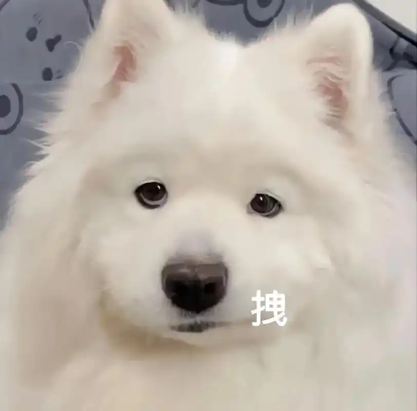 狗狗搞笑沙雕表情包.#表情包 #萌宠 #狗狗表情包 #斗图必 - 抖音