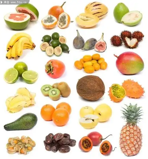水果图片大集合
