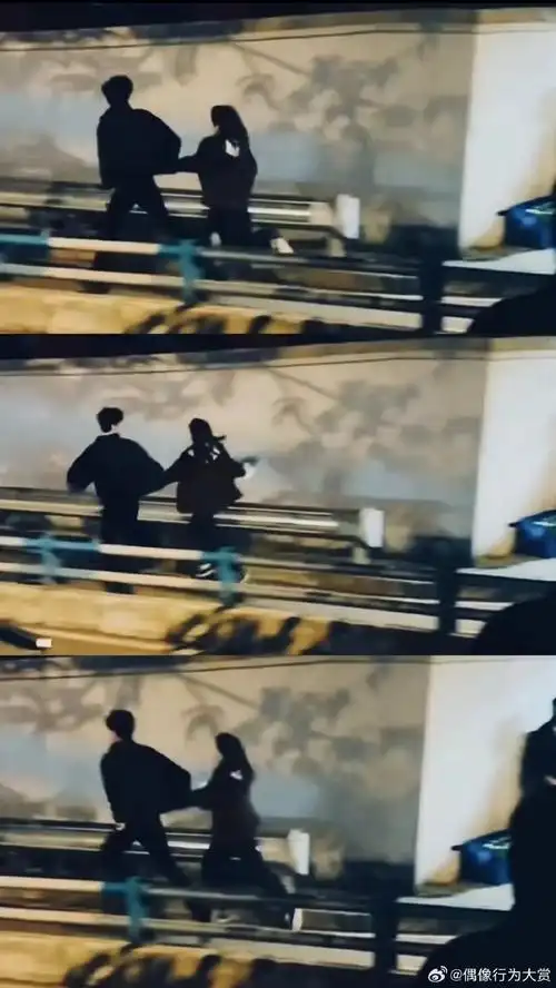 白敬亭章若楠氛围感##白敬亭章若楠认领桑延温以凡