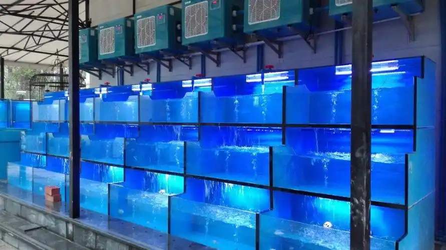 江西鱼池多少钱,酒店海鲜池定制-鑫兴源海鲜池