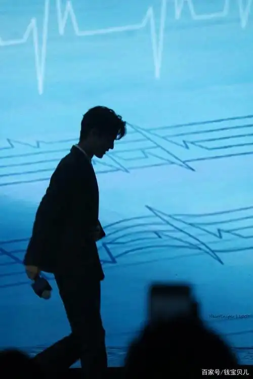 剪影 让我把你的轮廓细细描摹 肖战光影里的肖战影子恋人.