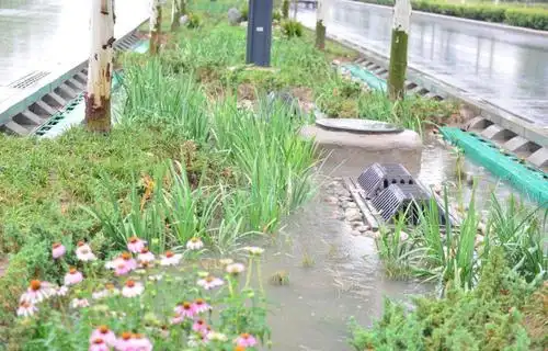 这是我们在荷兰的一个停车场拍的.