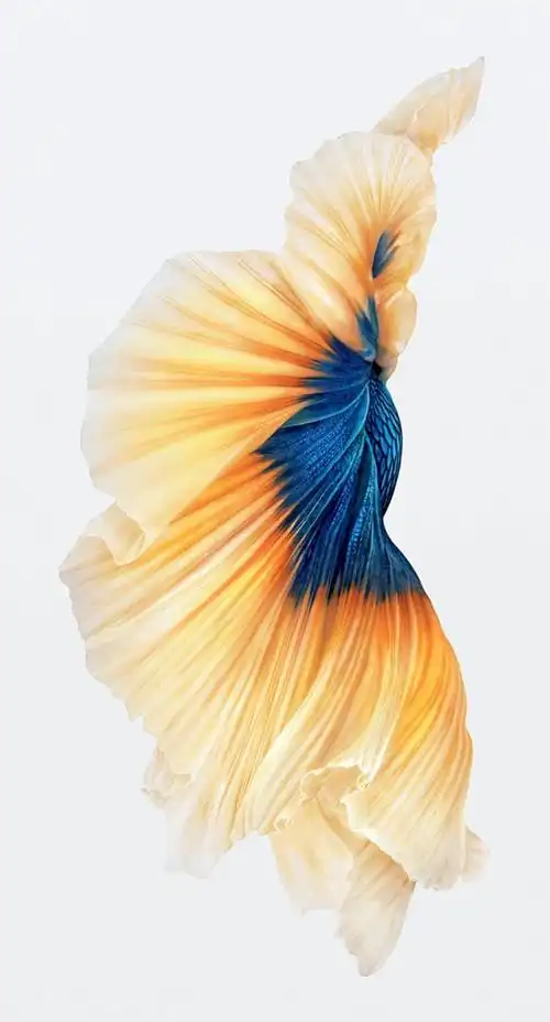 iphone6壁纸高清原图(iphone6手机屏保图片)