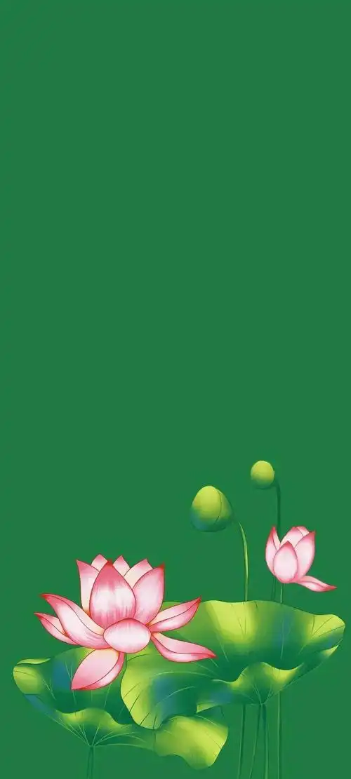清新绿色护眼荷花壁纸