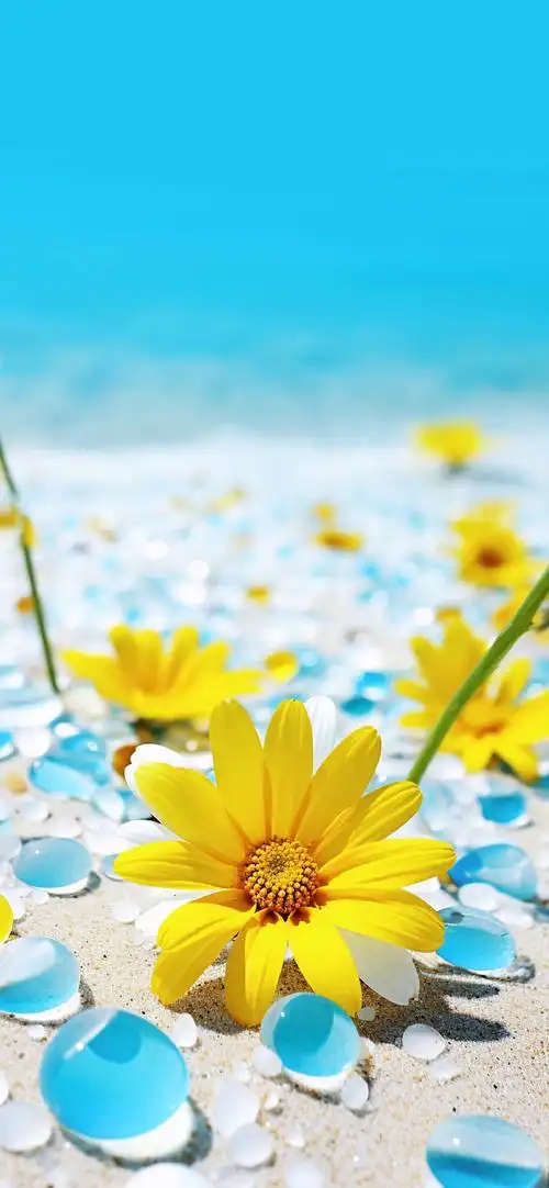 壁纸超话唯美画面