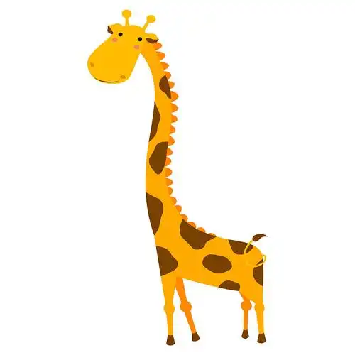 可爱的长颈鹿卡通孤立在白色的背景图片