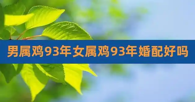 男属鸡93年女属鸡93年婚配好吗,女属鸡男属猴婚配好吗
