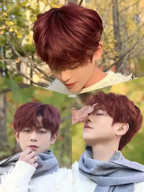 男生头发染什么色好看男生发色红棕色发色