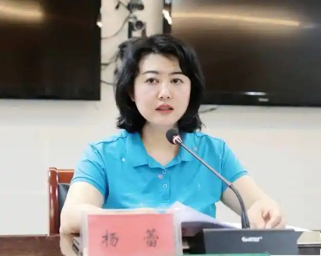 杨蕾两手抓两手硬奋力夺取疫情防控和经济社会发展双胜利