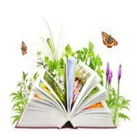 书花的图片大全_微信头像图片大全