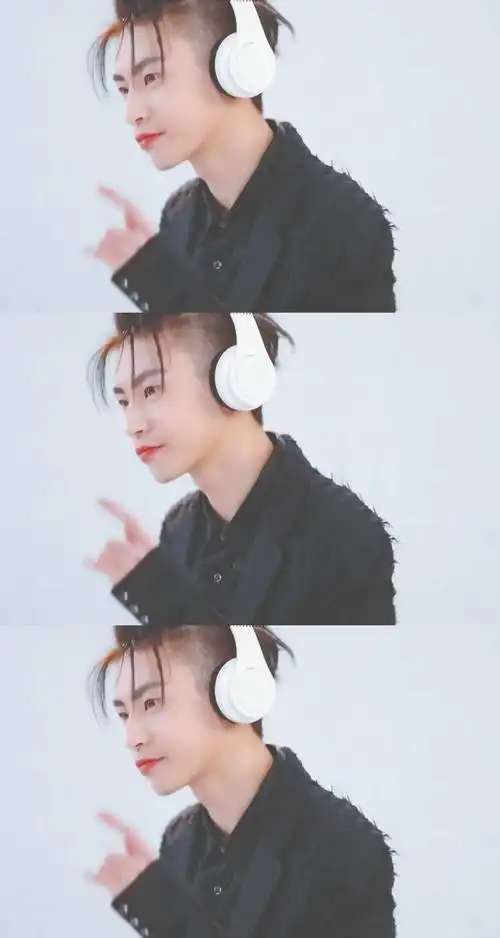 王琳凯三格拼接壁纸