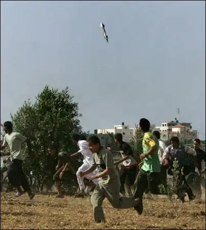 法新社推出2007年度最佳图片(组图)(6)