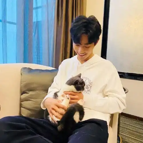 肖战的猫掉毛是什么梗