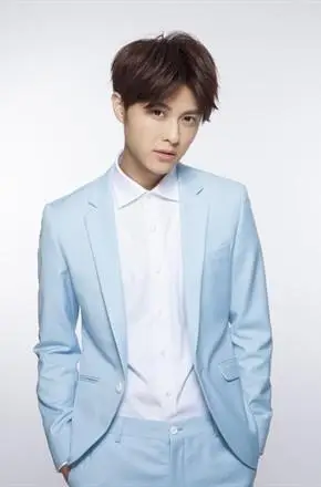 王子个人资料-王子明星关系图谱-电视作品图谱-电影作品图谱 - 明星