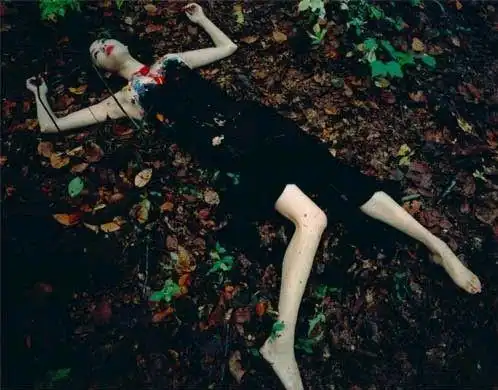 伊岛薰:将女人的美丽罩上死亡