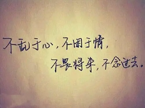 不乱于心,不困于情,不畏将来,不念过往