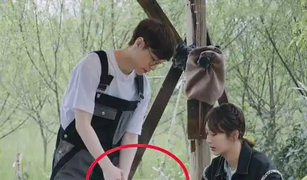 对女嘉宾疯狂献殷勤,黄磊看破了他的小心思_杨紫_张子枫_绯闻