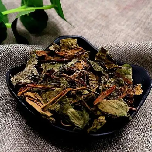 50g鱼腥草中药材新鲜农家自晒晒干的鱼腥草泡水鱼腥草茶袋装 野生