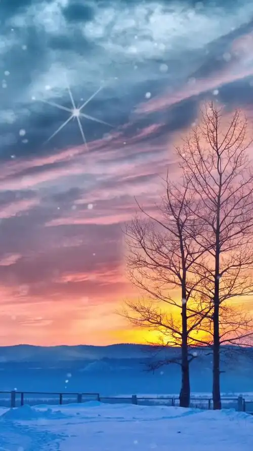 冬日夕阳,唯美系动态壁纸动态壁纸_高清竖屏视频下载-火萤壁纸