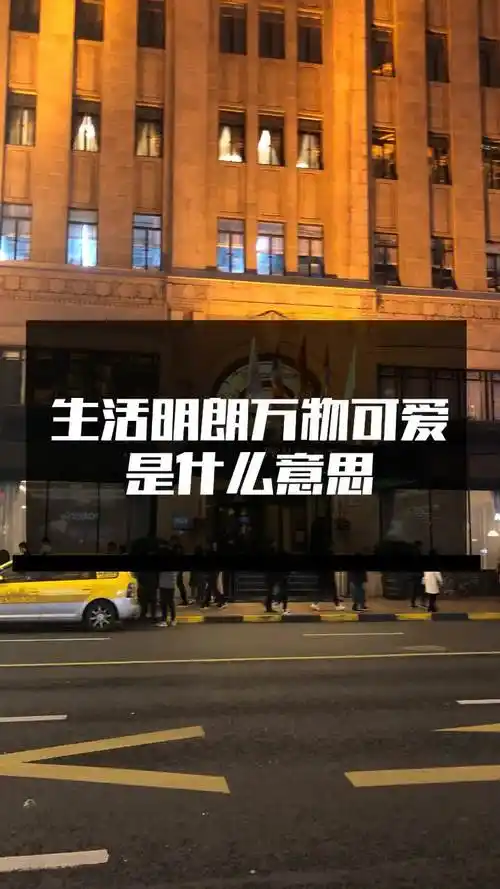 生活明朗万物可爱是什么意思