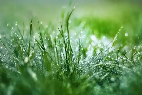 倘若挽回婚姻,请保持最优雅的姿态面对生活