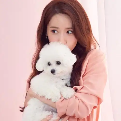 林允儿ins头像更新