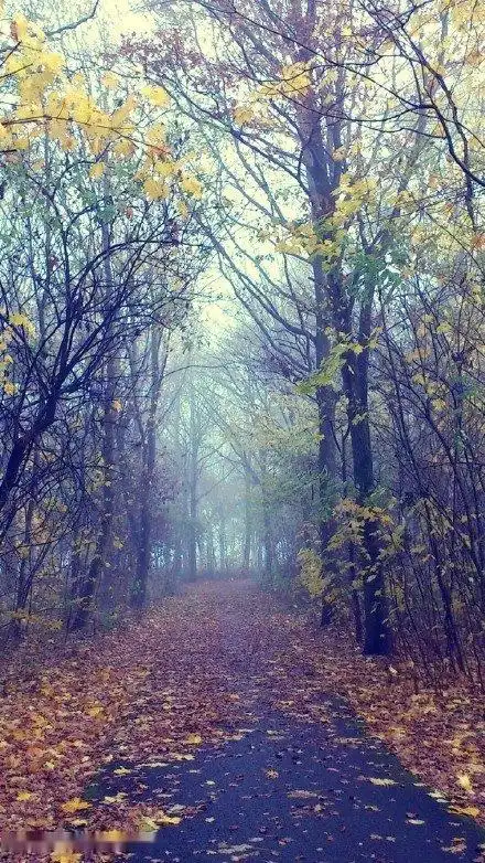 森系小清新风景图片 -意境图片-唯美图片大全