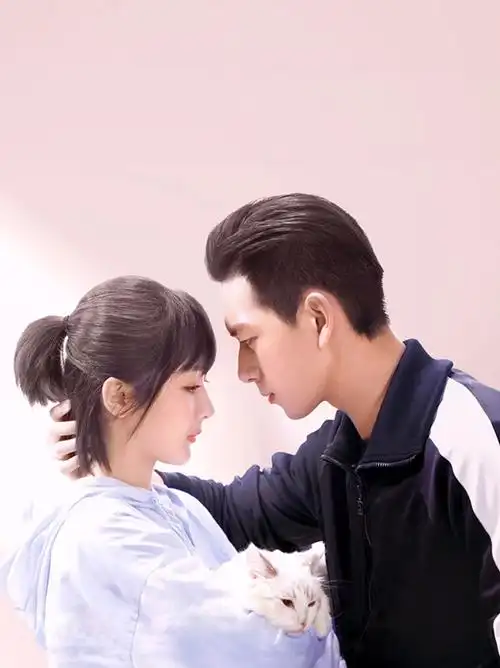 杨紫和李现真的好有cp感